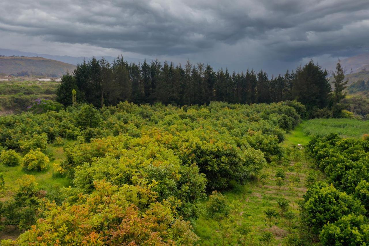 Hosteria Cananvalle Ibarra Zewnętrze zdjęcie