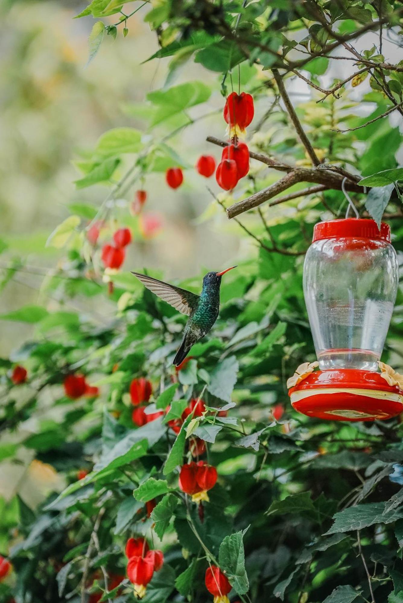Hosteria Cananvalle Ibarra Zewnętrze zdjęcie